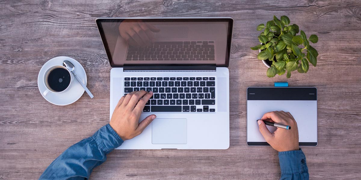 éco conception web pour un site éco-responsable